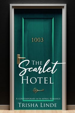 Room 1003 - The Scarlet Hotel, #8