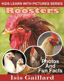 Roosters Photos and Fun Facts for Kids - Kids Learn With Pictures, #72