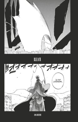 Bleach - T46 - Chapitre 399 - DEICIDE