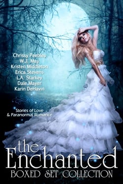 The Enchanted Box Set Collection: Stories of Love &amp; Paranormal Romance