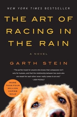 The Art of Racing in the Rain - A Novel