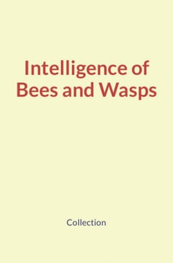 Intelligence of Bees and Wasps