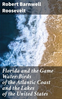 Florida and the Game Water-Birds of the Atlantic Coast and the Lakes of the United States - Exploring Wildlife Along Atlantic Coast &amp; Lakes