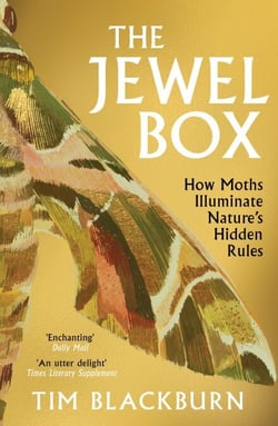 The Jewel Box - How Moths Illuminate Nature’s Hidden Rules
