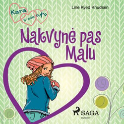 Kara iš raides „K“ 4 – Nakvyne pas Malu