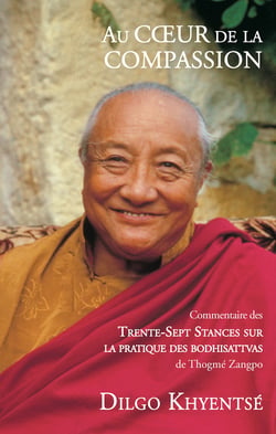 Au coeur de la compassion - Commentaire des Trente-Sept Stances sur la pratique des bodhisattvas