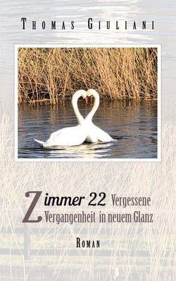 Zimmer 22 - Vergessene Vergangenheit im neuen Glanz