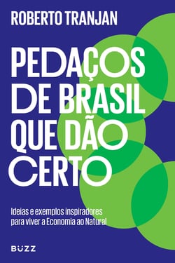 Pedaços de Brasil que dão certo - Ideias e exemplos inspiradores para viver a Economia ao Natural