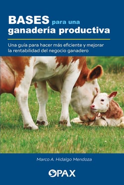 Bases para una ganadería productiva - Una guía para mejorar la rentabilidad del negocio ganadero