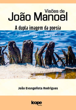 Visões de João Manoel - a dupla imagem da poesia
