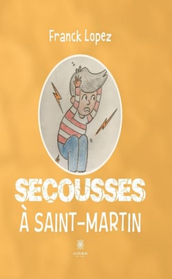 Secousses à Saint-Martin