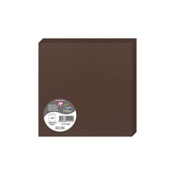 25 cartes pliées Pollen 160x160 mm  - Cacao