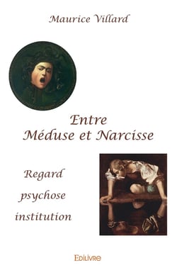 Entre Méduse et Narcisse : Regard, psychose, institution