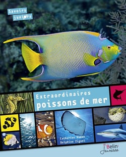 Extraordinaires poissons de mer