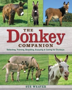 The Donkey Companion - Selecting, Training, Breeding, Enjoying &amp; Caring for Donkeys