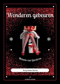 Wonderen gebeuren - Santa Stories, #4