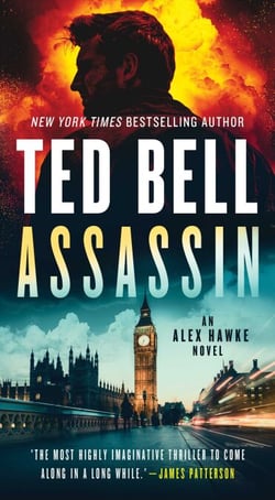 Assassin - A Novel