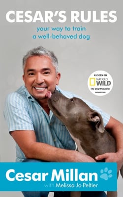 Cesar's Rules - Your Way To Train A Well-Behaved Dog