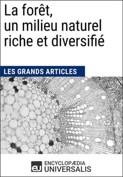 La forêt, un milieu naturel riche et diversifié - Les Grands Articles d'Universalis