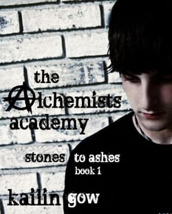 The Alchemists Academy Book 1:  Stones to Ashes - Alchemists Academy Series, #1