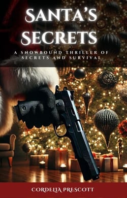 Santa's Secret