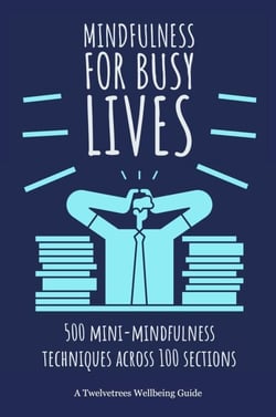 Mindfulness For Busy Lives