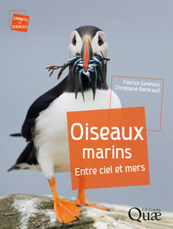 Oiseaux marins - Entre ciel et mers