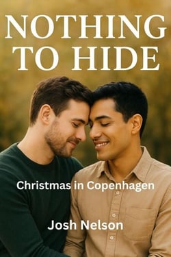 Christmas in Copenhagen - Nothing to Hide, #7