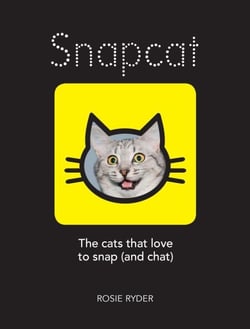 Snapcat - The Cats Who Love to Snap (and Chat)