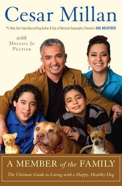 A Member of the Family - The Ultimate Guide to Living with a Happy, Healthy Dog