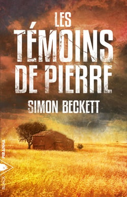 Les Témoins de pierre