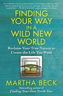 Finding Your Way in a Wild New World - Reclaim Your True Nature to Create the Life You Want