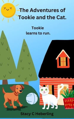 "Tookie Learns to Run" - "The Adventures of Tookie and The Cat", #1