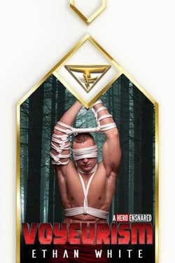 Voyeurism - A Hero Ensnared, #2