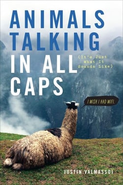 Animals Talking in All Caps - It's Just What It Sounds Like