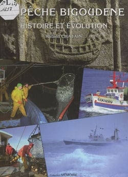 La pêche bigoudène - Histoire et évolution