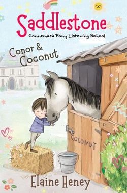 Saddlestone Connemara Pony Listening School | Conor and Coconut - Saddlestone Connemara Pony Listening School, #3