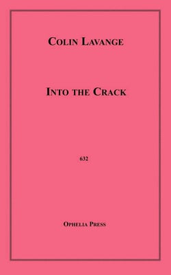 Into the Crack