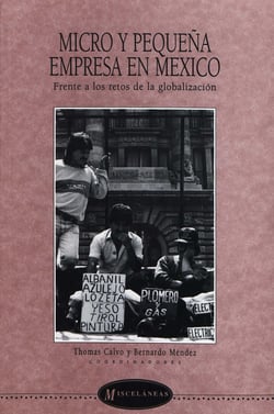 Micro y pequeña empresa en México - Frente a los retos de la globalización