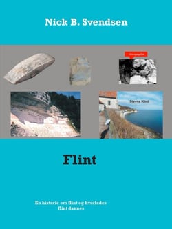 Flint - En historie om flint og hvorledes flint dannes.