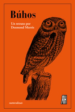 Búhos - Un retrato por Desmond Morris