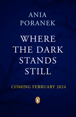 Where the Dark Stands Still - A sweeping, gothic YA fairytale romance