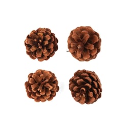 4 pommes de pin - 6 cm