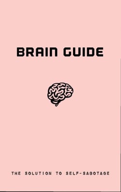 Brain Guide