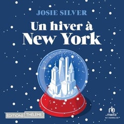 Un hiver à New York