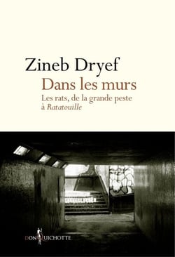 Dans les murs. Les rats, de la Grande Peste à Ratatouille - Les rats, de la Grande Peste à Ratatouille