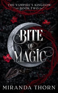 Bite of Magic - The Vampire's Kingdom, #2