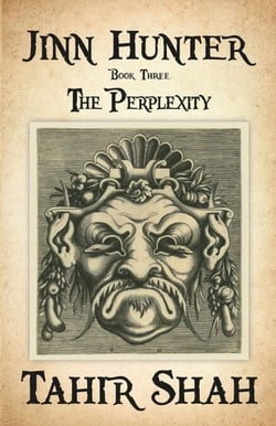 Jinn Hunter: Book Three - The Perplexity - Jinn Hunter, #3