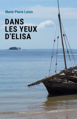 Dans les yeux d'Élisa - Roman
