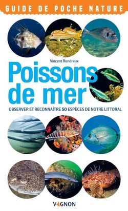 Poissons de mer - Observer et reconnaître 50 espèces de notre littoral